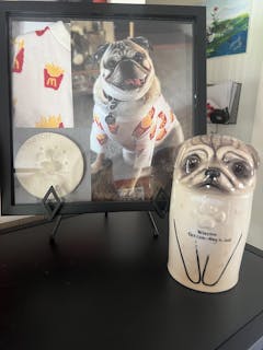 Dog Urn Handcrafted Customized Ceramic Pet Urn for Ashes