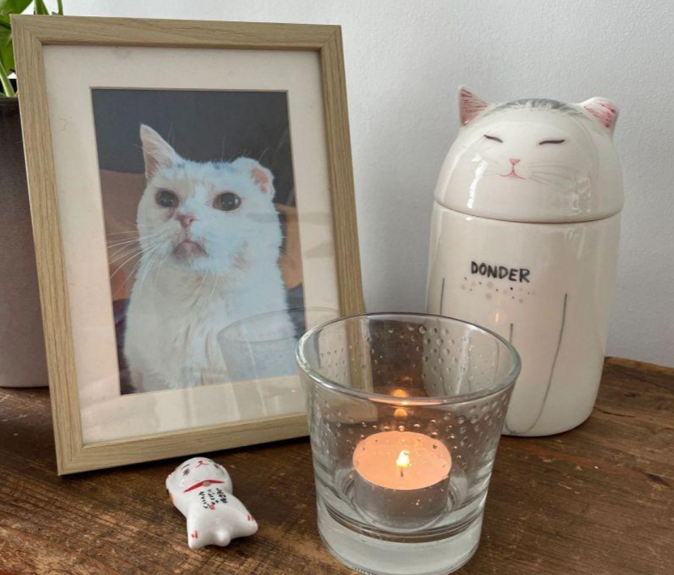 Cat Urn Handcrafted Customized Ceramic for Ashes